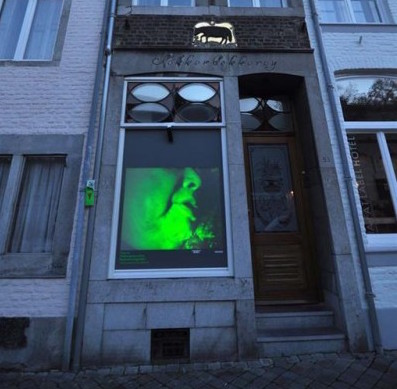 Zhou Tao - Chicken speaks to Duck, Duck speaks... - Boschstraat, Maastricht - foto Paul Koenen
